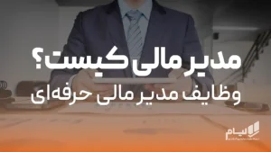 مدیر مالی
