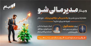 وبینار مدیر مالی شو