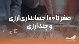 صفر تا 100 حسابداری ارزی و چند ارزی + نرم‌افزار حسابداری