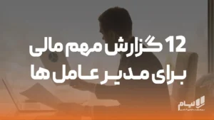 نرم افزار حسابداری آنلاین لیام 11 12 گزارش مهم مالی برای مدیرعامل ها-33
